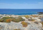 Stavros Kreta, Stavros: Grundstücke direkt am Meer mit Blick auf den Sonnenuntergang zu verkaufen Grundstück kaufen